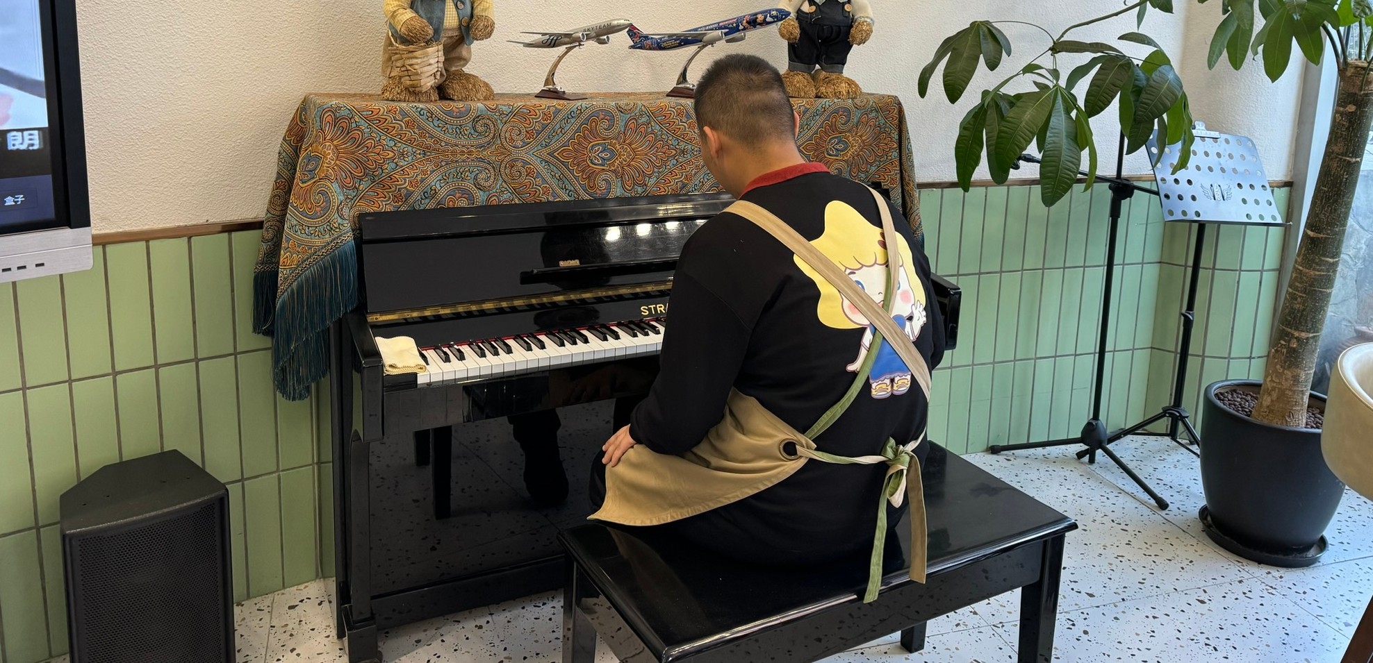 觀看鋼琴表演