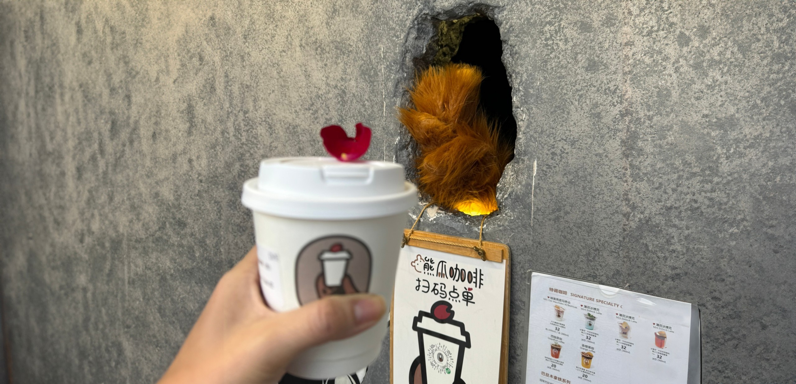 上海考察团